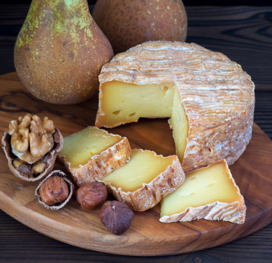 تتنوع بقوامها وتحضيرها وعمرها ونوع الحليب.. إليكم عائلات الجبن المختلفة صورة رقم 6