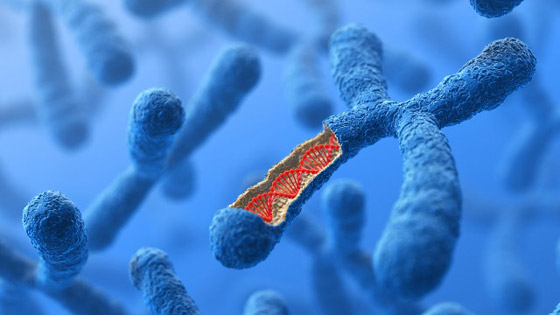 سلالة فيروس كورونا الجديدة المكتشفة ببريطانيا بطريقها لاكتساح العالم! صورة رقم 3