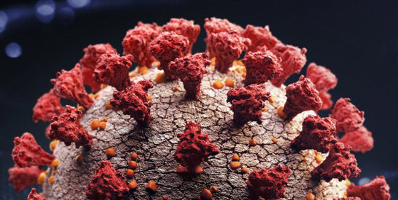 سلالة فيروس كورونا الجديدة المكتشفة ببريطانيا بطريقها لاكتساح العالم! صورة رقم 1