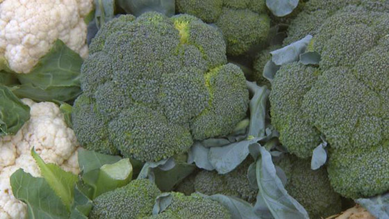 بالصور: إليكم 9 أطعمة تمنع نمو الخلايا السرطانية في الجسم! صورة رقم 4