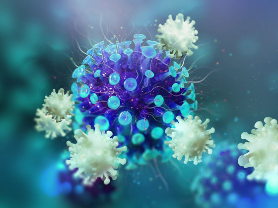 7 سلالات جديدة لكورونا تحمل طفرات النسخة البريطانية تثير المخاوف! صورة رقم 4