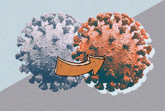 7 سلالات جديدة لكورونا تحمل طفرات النسخة البريطانية تثير المخاوف! صورة رقم 1