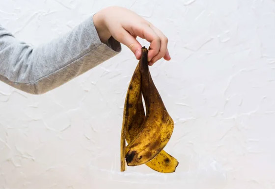 غني بالفوائد لكنه يفسد بسرعة.. إليكم 6 طرق للحفاظ على الموز لمدة طويلة صورة رقم 8