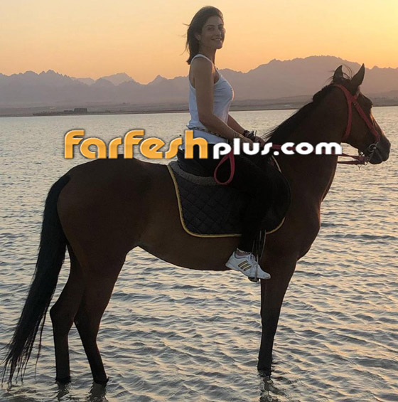 صورة رقم 10 - فيديوهات وصور 19 فنانا وفنانة يعشقون الفروسية والخيل رغم سقوطهم عن الحصان! صورة رقم 10 - فيديوهات وصور 19 فنانا وفنانة يعشقون الفروسية والخيل رغم سقوطهم عن الحصان!