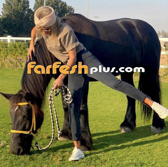 صورة رقم 22 - فيديوهات وصور 19 فنانا وفنانة يعشقون الفروسية والخيل رغم سقوطهم عن الحصان! صورة رقم 22 - فيديوهات وصور 19 فنانا وفنانة يعشقون الفروسية والخيل رغم سقوطهم عن الحصان!