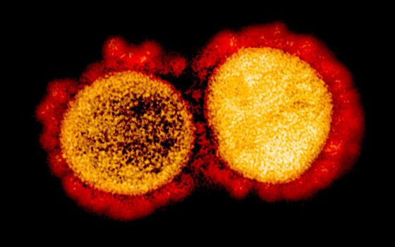 كورونا ودرجة الحرارة.. هل يكبح الصيف انتشار الفيروس؟ صورة رقم 5