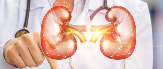 إليكم كل ما تريدون معرفته عن أعراض وأسباب أمراض المثانة المتعددة صورة رقم 7