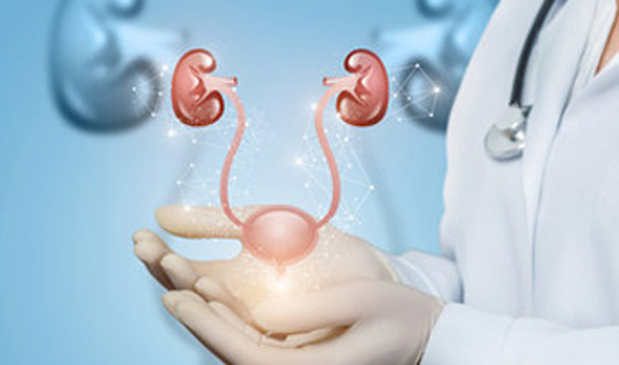 إليكم كل ما تريدون معرفته عن أعراض وأسباب أمراض المثانة المتعددة صورة رقم 9