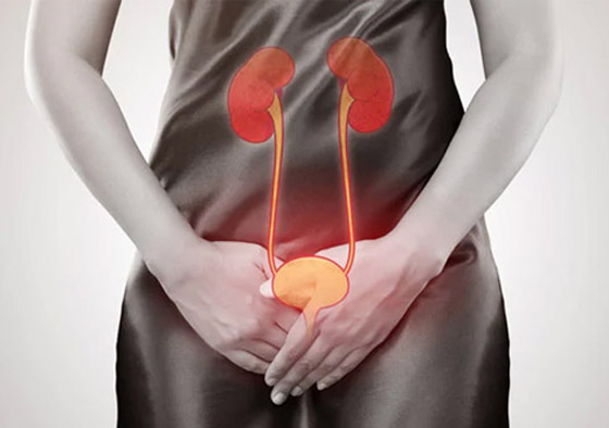 إليكم كل ما تريدون معرفته عن أعراض وأسباب أمراض المثانة المتعددة صورة رقم 15