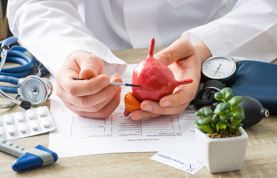 إليكم كل ما تريدون معرفته عن أعراض وأسباب أمراض المثانة المتعددة صورة رقم 23