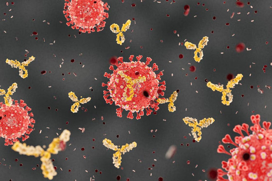 تأهباً لجائحات مميتة مقبلة.. لقاح موحد لكل الفيروسات التاجية صورة رقم 5