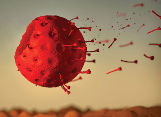 الصحة العالمية تزف بشرى سارة: هذا توقيت انتهاء جائحة كورونا! صورة رقم 4