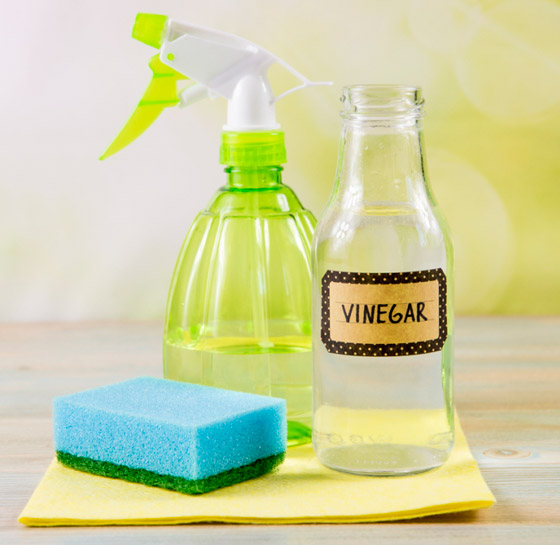 بعيدا عن المواد الكيميائية.. لهذه الأطعمة قدرة رائعة على التنظيف صورة رقم 8