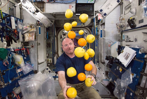 ملح سائل وكوكتيل الروبيان.. إليكم أغرب الأطعمة التي يتناولها رواد الفضاء صورة رقم 2 ملح سائل وكوكتيل الروبيان.. إليكم أغرب الأطعمة التي يتناولها رواد الفضاء صورة رقم 2