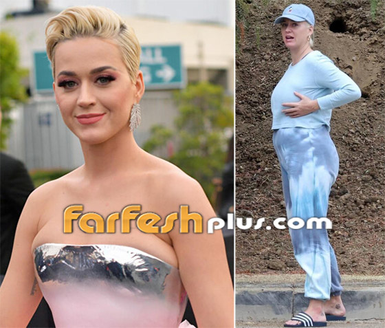 صور فنانات عربيات وعالميات نجحن بفقدان الوزن الزائد.. ما سر ريجيم النجمات؟ صورة رقم 6