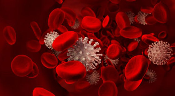 هل يصيب فيروس كورونا أصحاب فصيلة دم معينة؟ العلماء يكشفون صورة رقم 5