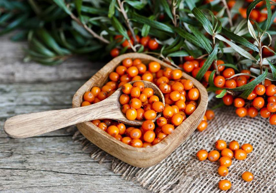 ماهي فاكهة النبق الشتوية وما فوائدها؟ صورة رقم 1