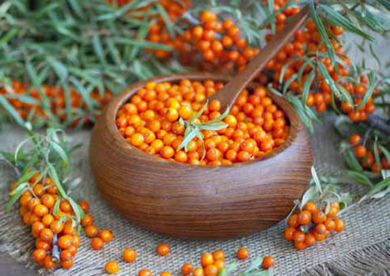 ماهي فاكهة النبق الشتوية وما فوائدها؟ صورة رقم 12