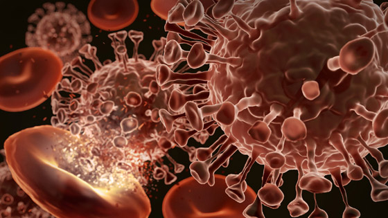 بعد 15 شهرا.. دراسة تخلص لطريقة 