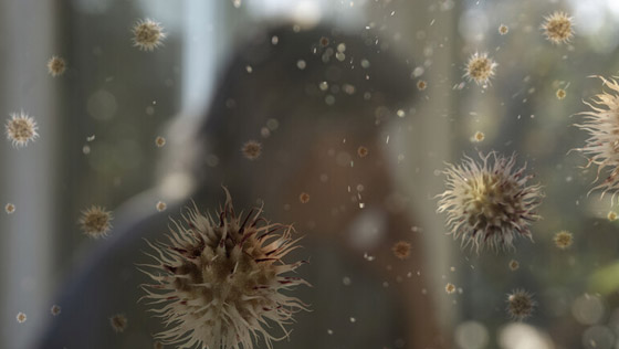 هل تزداد مخاطر كوفيد 19 مع حبوب اللقاح المحمولة جوا في الربيع؟ صورة رقم 1