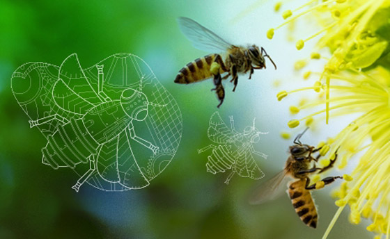 هل تزداد مخاطر كوفيد 19 مع حبوب اللقاح المحمولة جوا في الربيع؟ صورة رقم 6