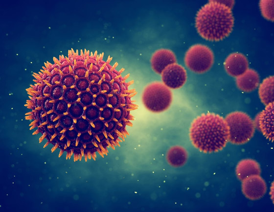 هل تزداد مخاطر كوفيد 19 مع حبوب اللقاح المحمولة جوا في الربيع؟ صورة رقم 7