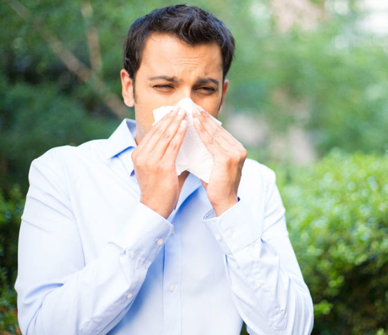 هل تزداد مخاطر كوفيد 19 مع حبوب اللقاح المحمولة جوا في الربيع؟ صورة رقم 9