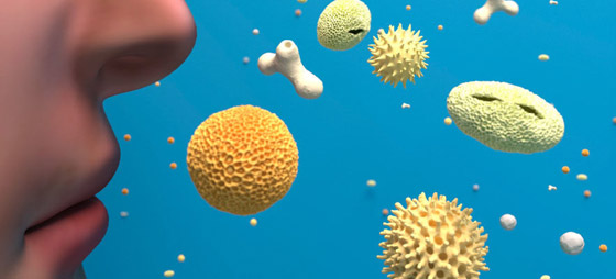 هل تزداد مخاطر كوفيد 19 مع حبوب اللقاح المحمولة جوا في الربيع؟ صورة رقم 10