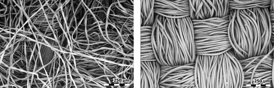 العلم يحسم الجدل: القطن أفضل للكمامات، وهذه الدول أكثر من ينتجه صورة رقم 2 العلم يحسم الجدل: القطن أفضل للكمامات، وهذه الدول أكثر من ينتجه صورة رقم 2