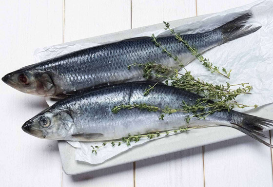 إليكم أفضل وأسوأ أنواع السمك على الصحة صورة رقم 2 إليكم أفضل وأسوأ أنواع السمك على الصحة صورة رقم 2