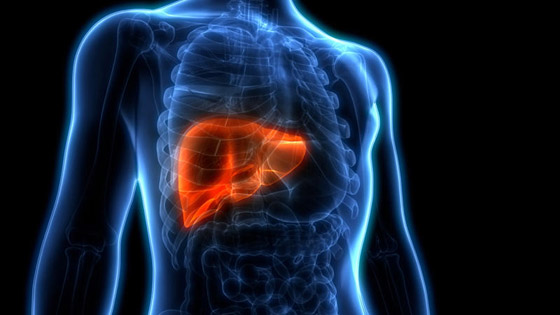 أعراض مرض الكبد الدهني: 6 علامات شائعة لتليّف الكبد! صورة رقم 2