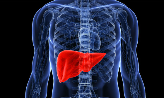 أعراض مرض الكبد الدهني: 6 علامات شائعة لتليّف الكبد! صورة رقم 4