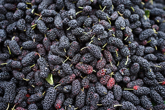 إليكم التفسير العلمي الذي يجعل هذه الأطعمة الـ9 جالبة للسعادة صورة رقم 6