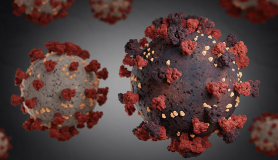 ما هي السلالات المتحورة لفيروس كورونا وما مدى فعالية اللقاحات ضدها؟ صورة رقم 10