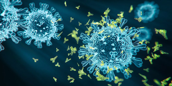 ما هي السلالات المتحورة لفيروس كورونا وما مدى فعالية اللقاحات ضدها؟ صورة رقم 12