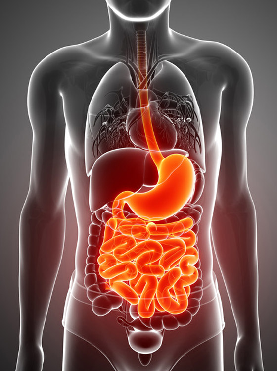 كيف تعالج التهاب الأمعاء المزمن؟ صورة رقم 3 كيف تعالج التهاب الأمعاء المزمن؟ صورة رقم 3