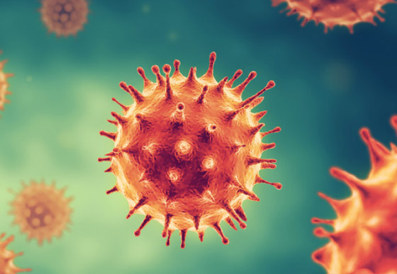 أصل فيروس كورونا.. أخيرا الدراسة المنتظرة تحسم الجدل الطويل! صورة رقم 2