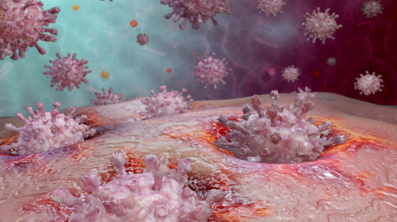 السر في (الخلايا التائية).. كيف يقاوم الجسم تحورات فيروس كورونا؟ صورة رقم 1