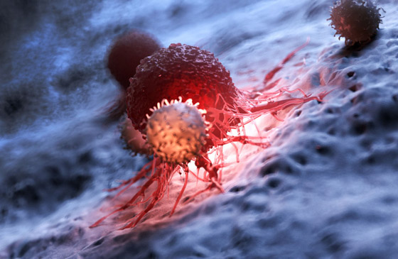 السر في (الخلايا التائية).. كيف يقاوم الجسم تحورات فيروس كورونا؟ صورة رقم 9