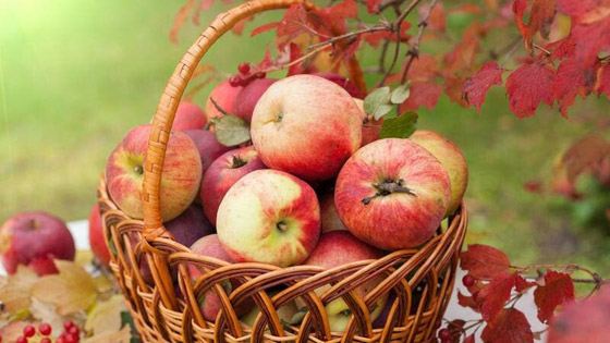 فوائد تناول تفاحة واحدة على الريق صورة رقم 1