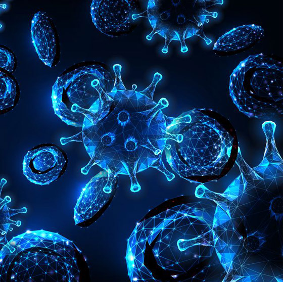 ما حقيقة العلاقة بين فيتامين د وفيروس كورونا (مرض كوفيد 19)؟ صورة رقم 10