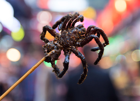 جبن باليرقات ومقبلات من العناكب.. إليكم أشهر الأطعمة الغريبة حول العالم صورة رقم 2