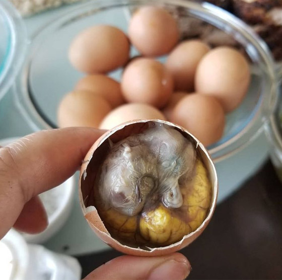 جبن باليرقات ومقبلات من العناكب.. إليكم أشهر الأطعمة الغريبة حول العالم صورة رقم 3