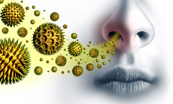 كأن لا علاجا طويل الأمد لها.. دحض 4 خرافات شائعة عن الحساسية صورة رقم 5 كأن لا علاجا طويل الأمد لها.. دحض 4 خرافات شائعة عن الحساسية صورة رقم 5