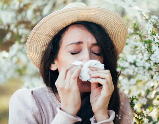 كأن لا علاجا طويل الأمد لها.. دحض 4 خرافات شائعة عن الحساسية صورة رقم 1 كأن لا علاجا طويل الأمد لها.. دحض 4 خرافات شائعة عن الحساسية صورة رقم 1