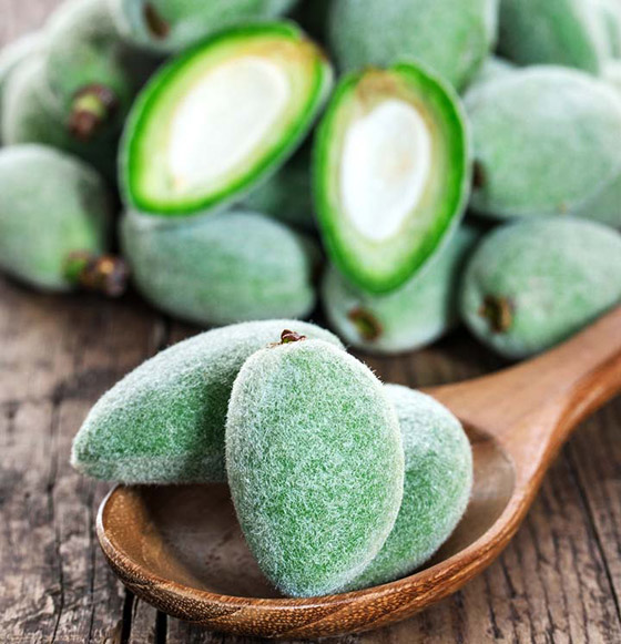 يعزز صحة القلب واللثة.. تعرفوا على فوائد اللوز الأخضر الصحية المدهشة صورة رقم 1