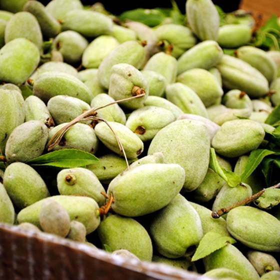 يعزز صحة القلب واللثة.. تعرفوا على فوائد اللوز الأخضر الصحية المدهشة صورة رقم 8