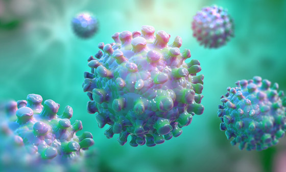 يؤدي للغيبوبة خلال 48 ساعة.. تحذيرات من فيروس نيباه الخطير! صورة رقم 10