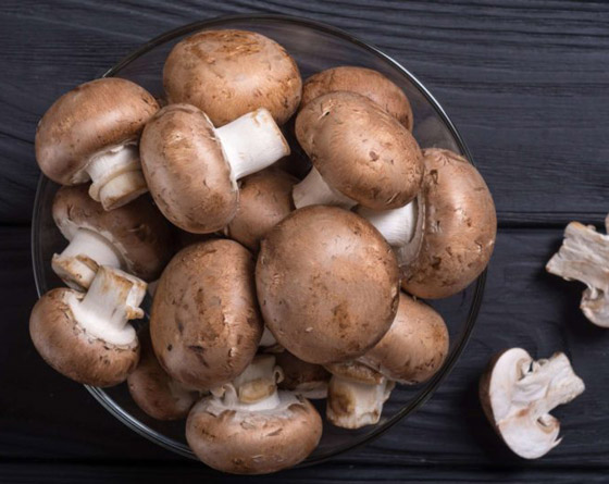 بشرى سارة للوقاية من مرض خطير: تناول الفطر (الماشروم) يحمي بشكل أكيد من مرض السرطان صورة رقم 1