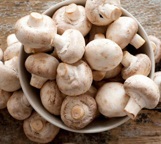 بشرى سارة للوقاية من مرض خطير: تناول الفطر (الماشروم) يحمي بشكل أكيد من مرض السرطان صورة رقم 5